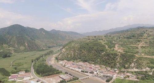 武都张坪村新闻头条,乡村振兴新篇章，绿色发展谱新篇