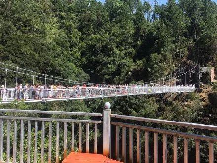 厦门网红吊桥,空中漫步，尽享海岛风情新体验