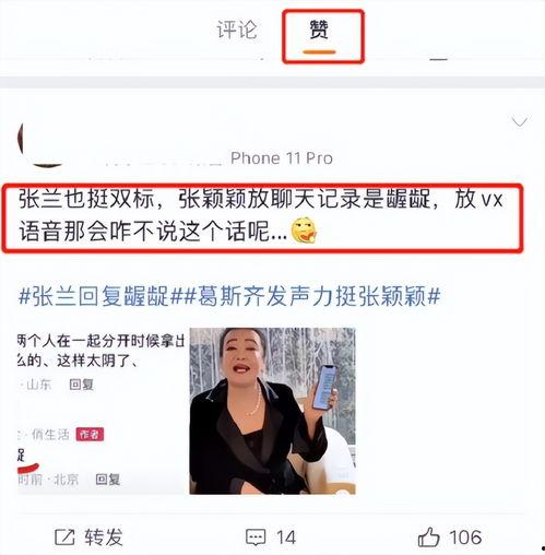 张兰主动爆料了吗视频在线观看,揭秘视频背后的惊人真相