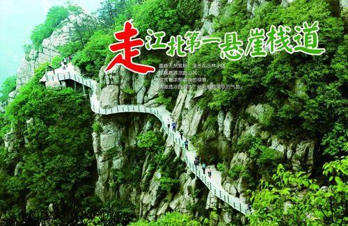打卡网红论林海听涛,揭秘网络红人的魅力与影响力