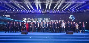 东莞上市的明星公司,东莞明星上市公司发展历程与辉煌成就