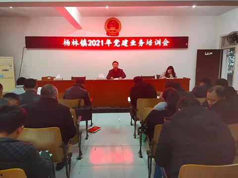 洞口市杨林镇新闻头条,杨林镇焕新颜，乡村振兴战略成效显著