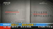 汤兰兰案最新爆料,最新爆料揭露惊人内幕