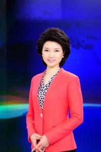 吉林主持人爆料新闻事件,揭秘新闻事件背后真相