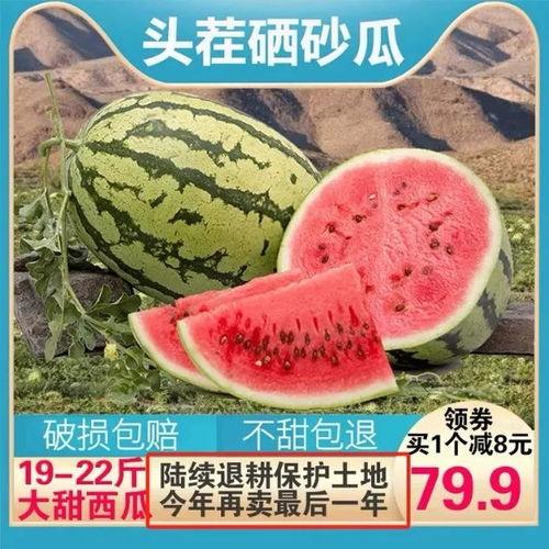 泡水吃瓜的快乐,尽享清凉快乐时光