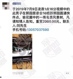 网络爆料在线观看视频网,在线观看视频网站大揭秘