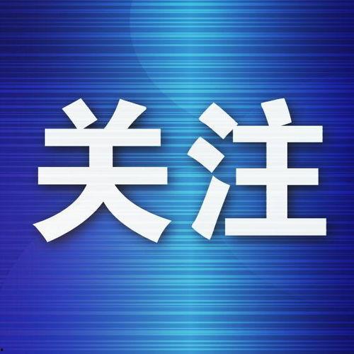 浪潮av红暑中文网,揭秘网络红人背后的故事与影响力