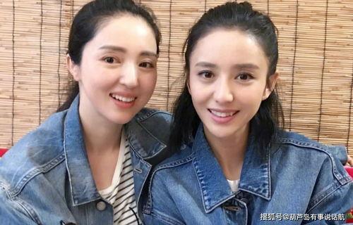 明星同网,明星同网背后的故事与秘密
