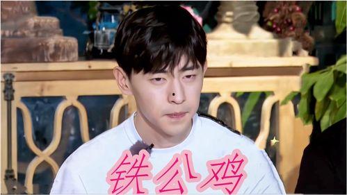 抠门明星爆料视频大全下载,视频大全下载背后的惊人真相