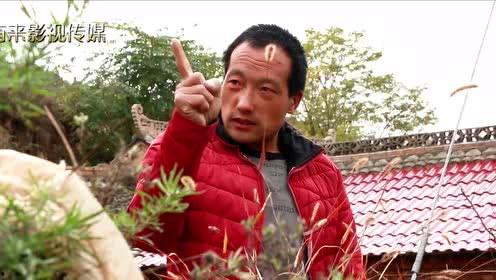 甘肃网红王半牙,从田间地头到网络红人的蜕变之路