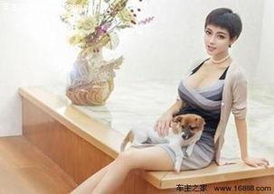 南京五一明星,共赴金陵欢乐盛宴